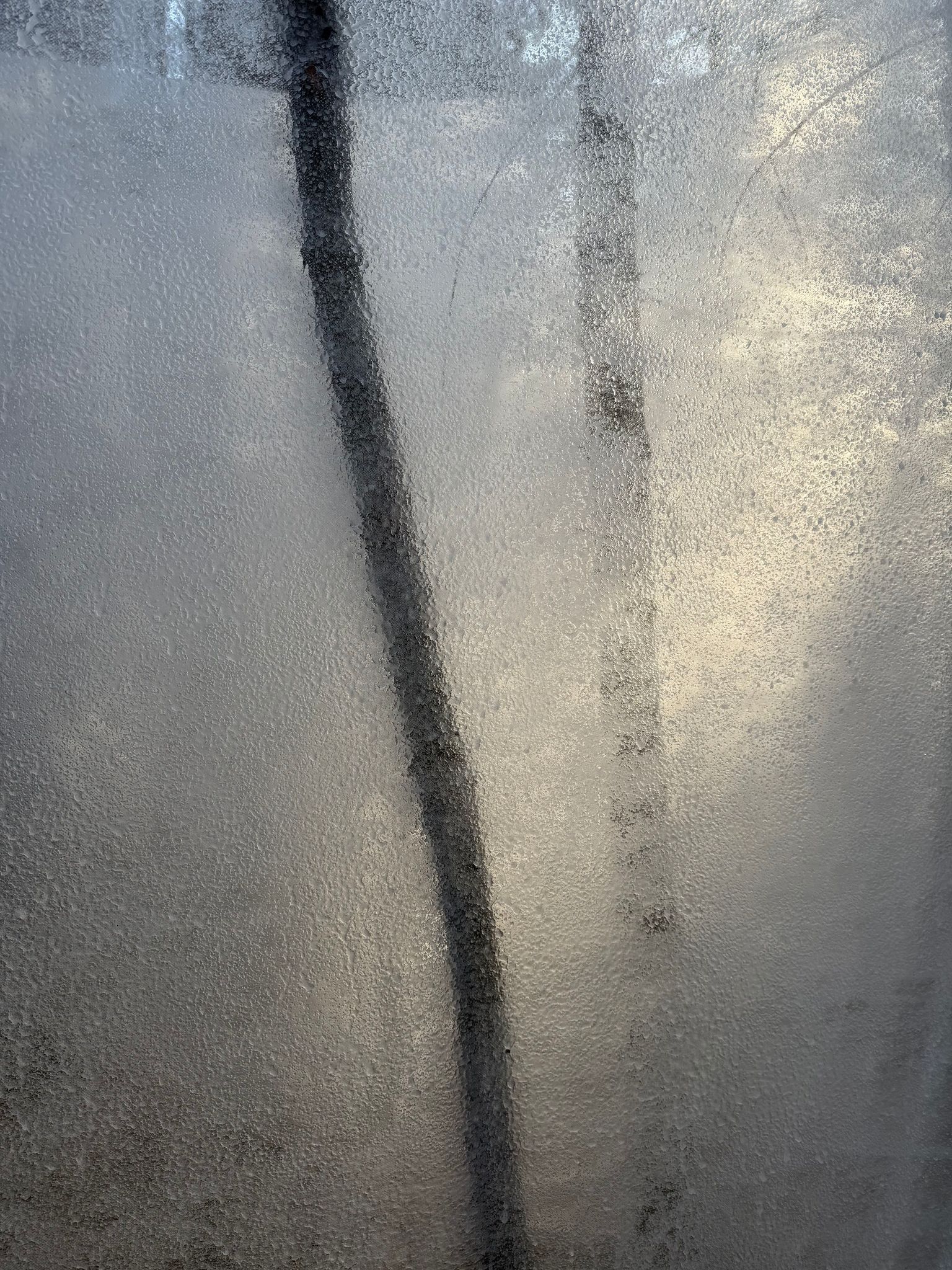 A tree trunk seen as a dark blurred line through a translucent ice wall