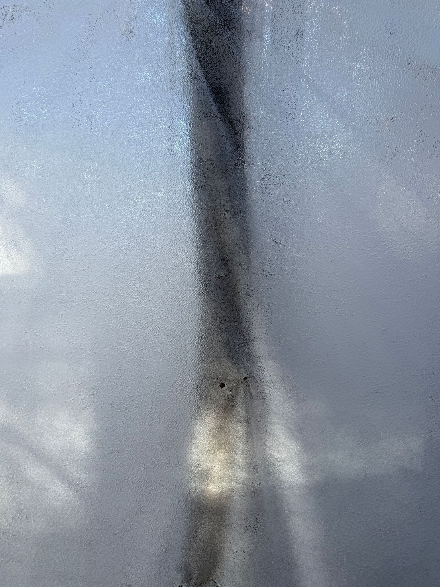 Light breaking through an ice wall behind the silhouette of a tree trunk
