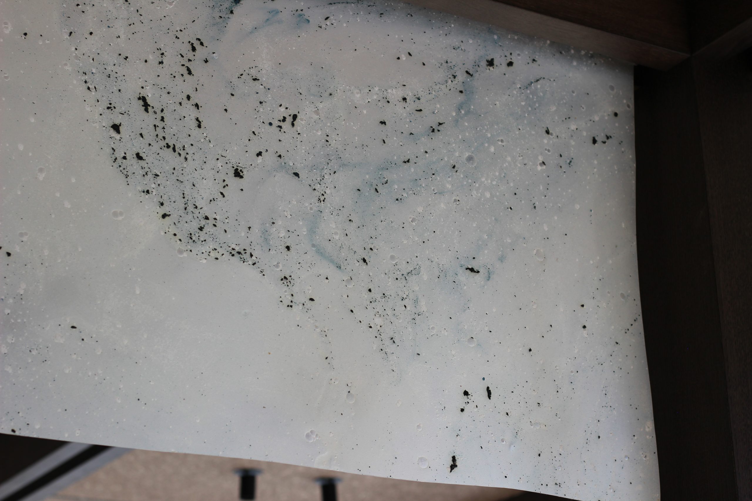 Detail of the custom seaweed and algae-based material