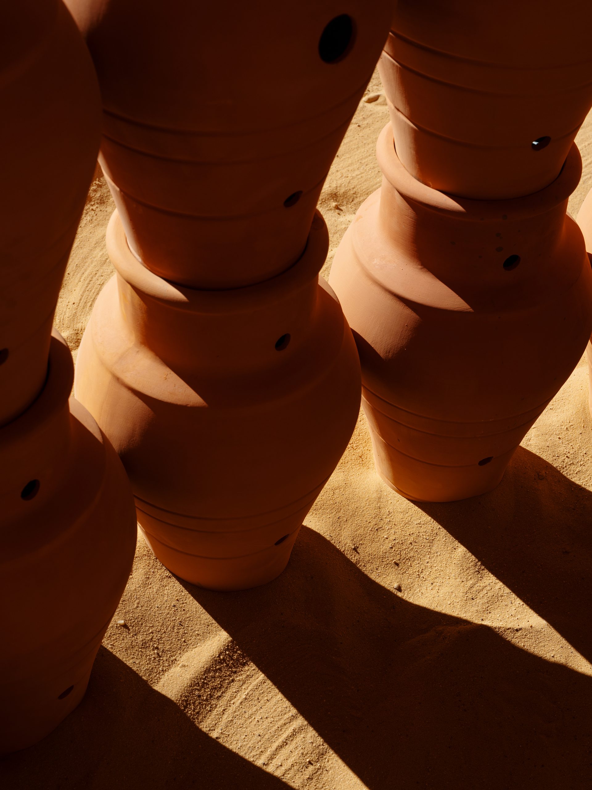 Repeated jar forms give the installation a vertical rhythm against the open desert.
