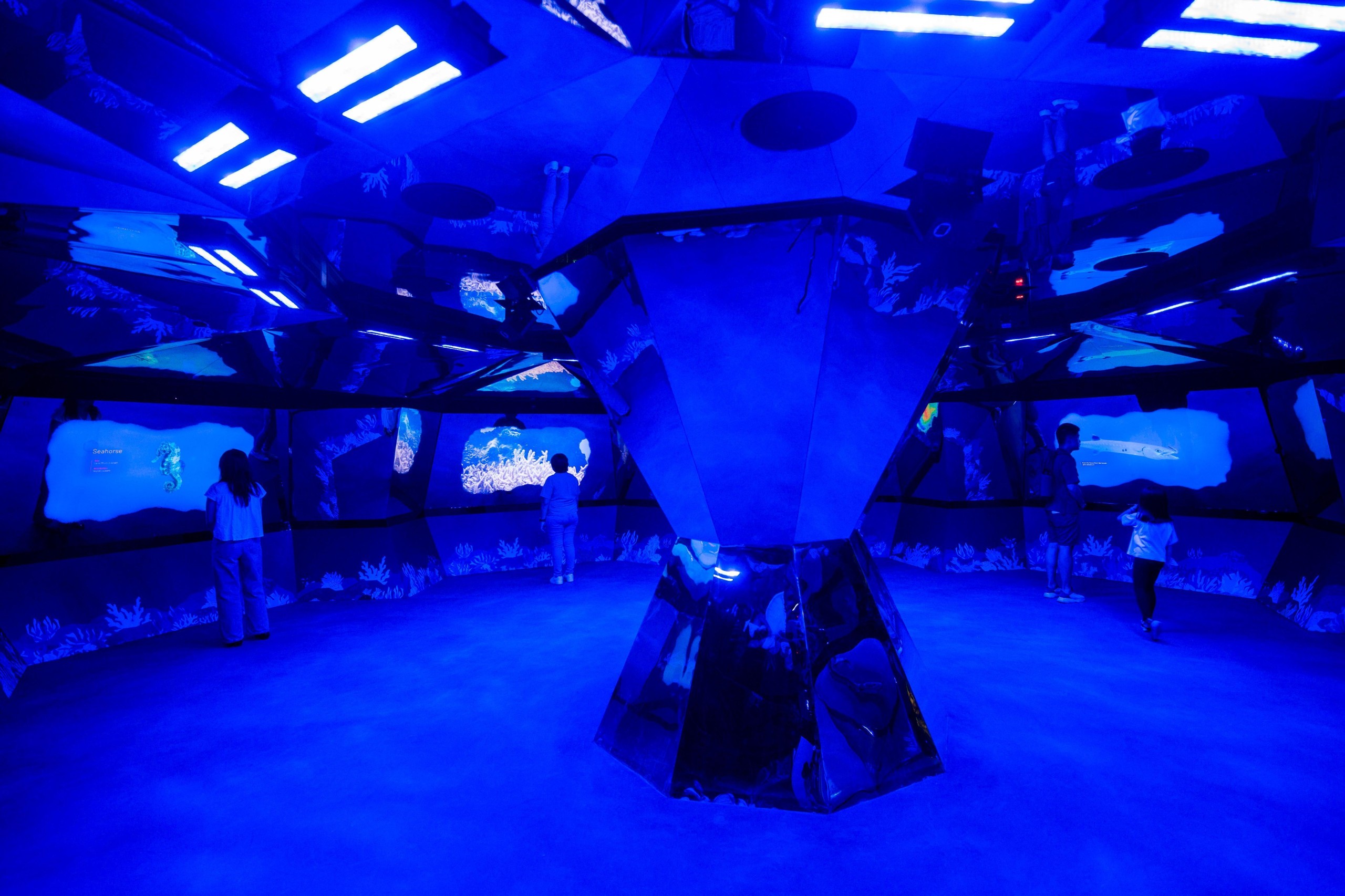 Blue room with a central sculptural form