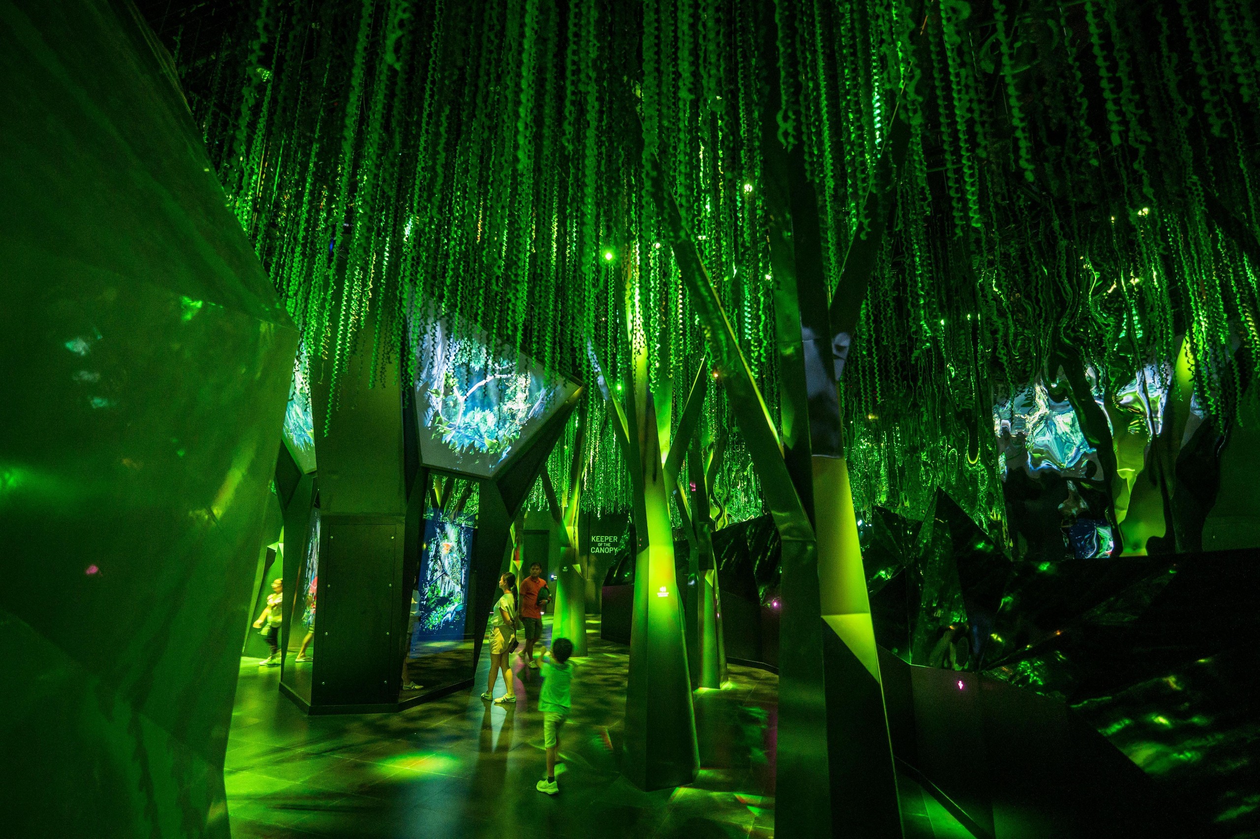 Green forest-like installation with hanging strands