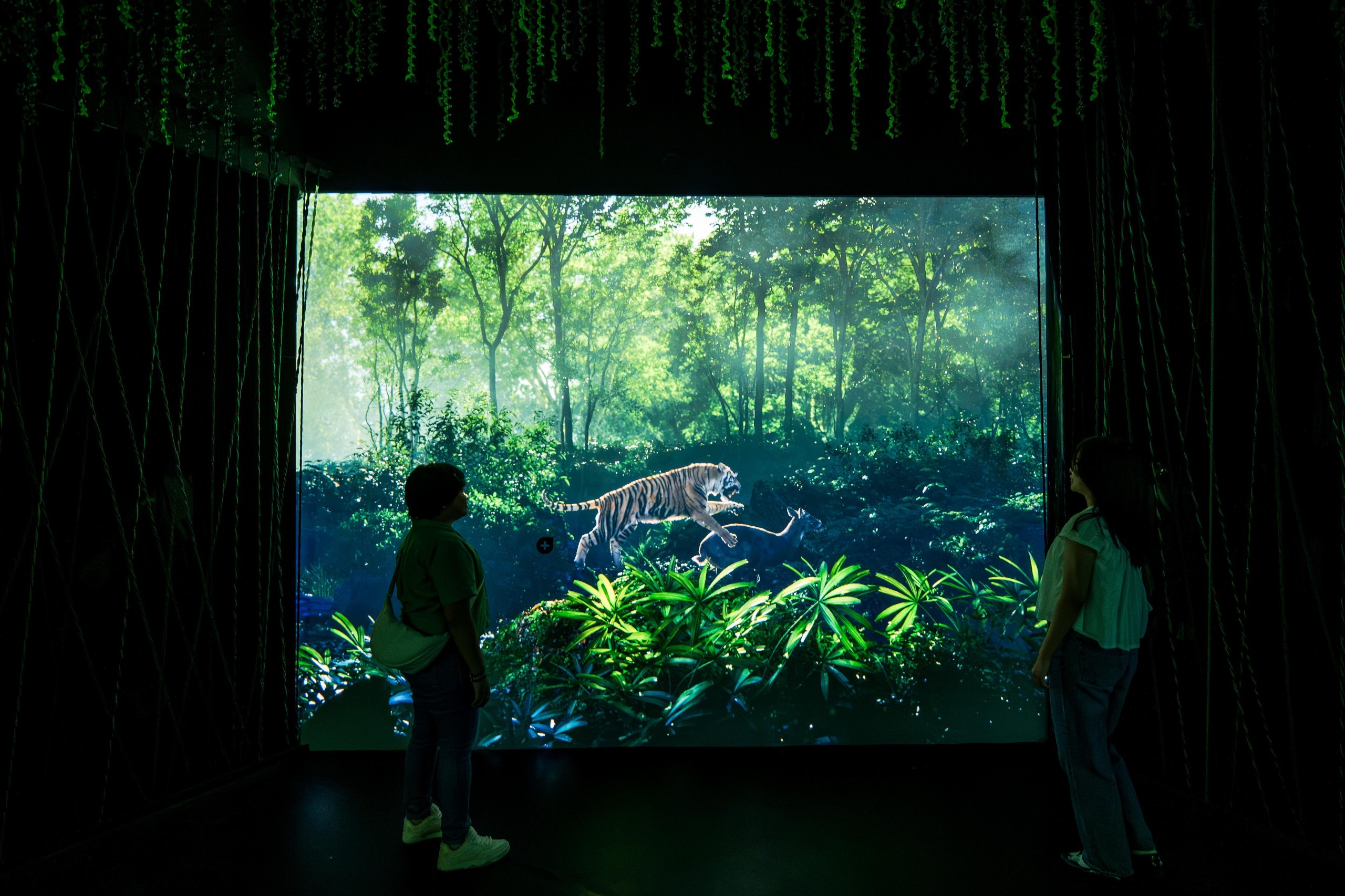 Projected rainforest scene with a tiger
