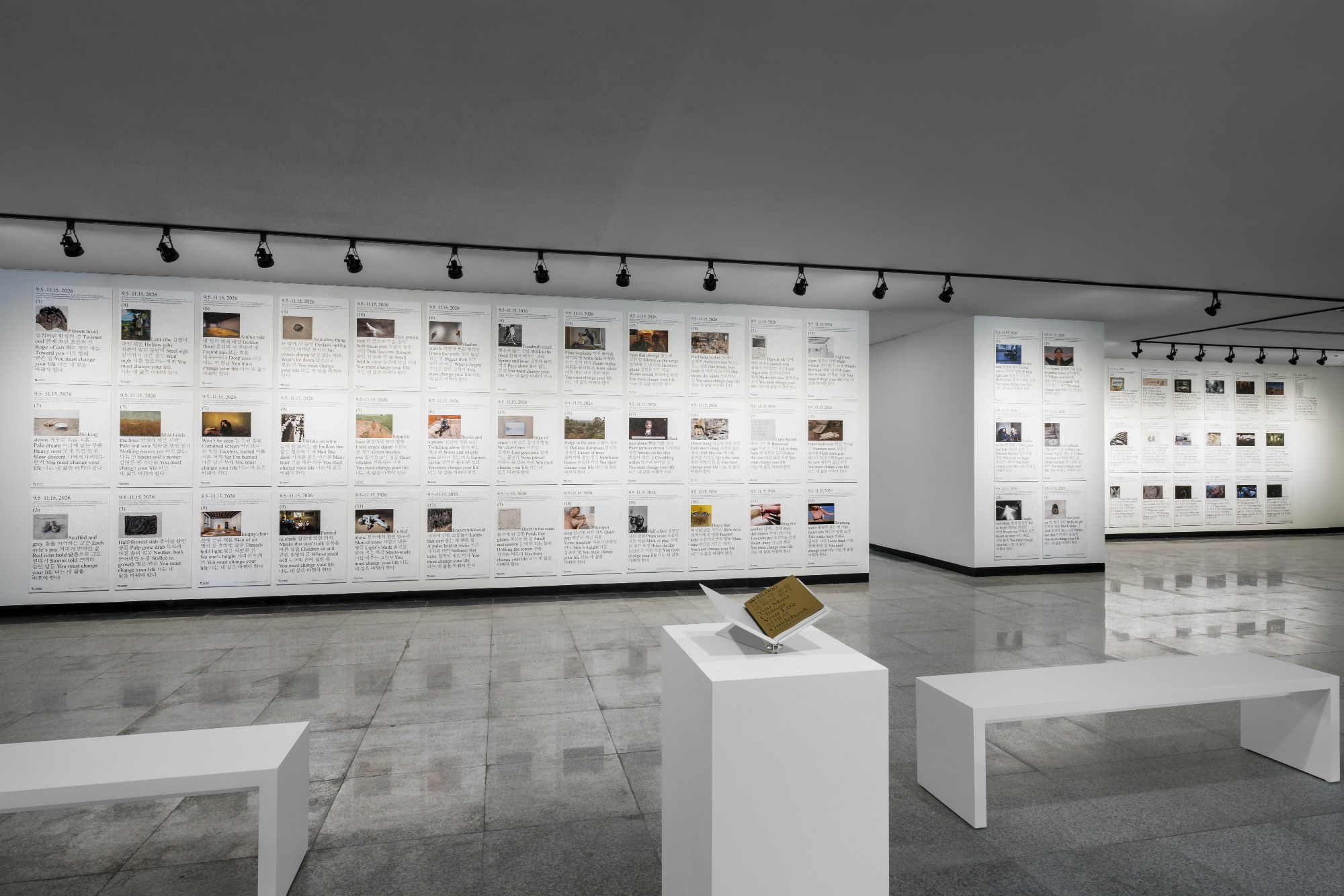 Wall of printed Image-Poems posters in Gallery 5