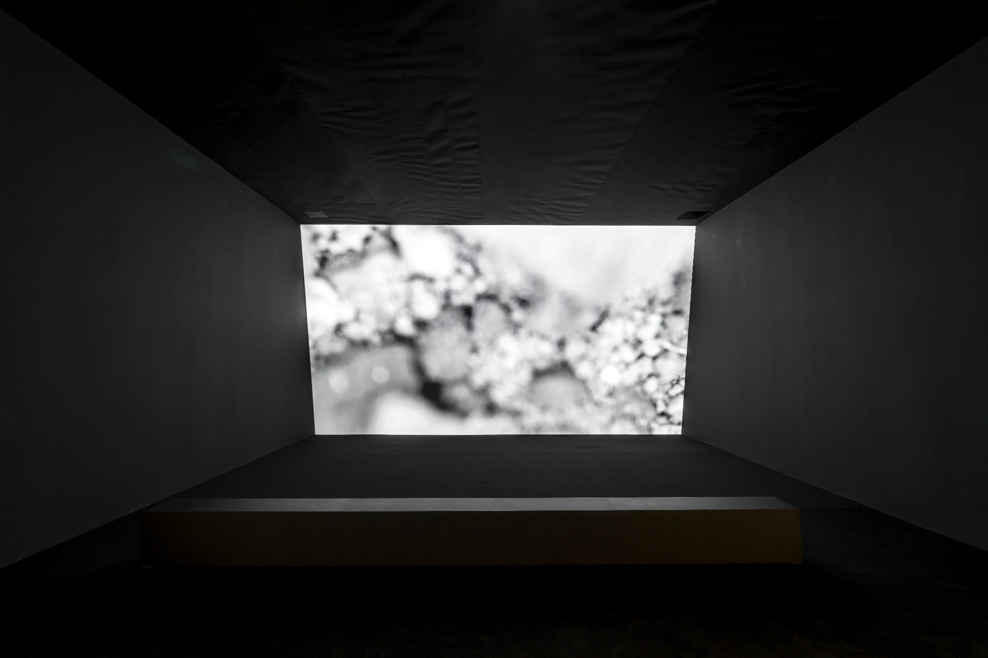 Work by Maya Watanabe at the 16th Gwangju Biennale