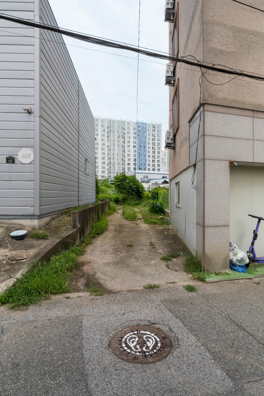 Work by Suzuki Akio at the 16th Gwangju Biennale