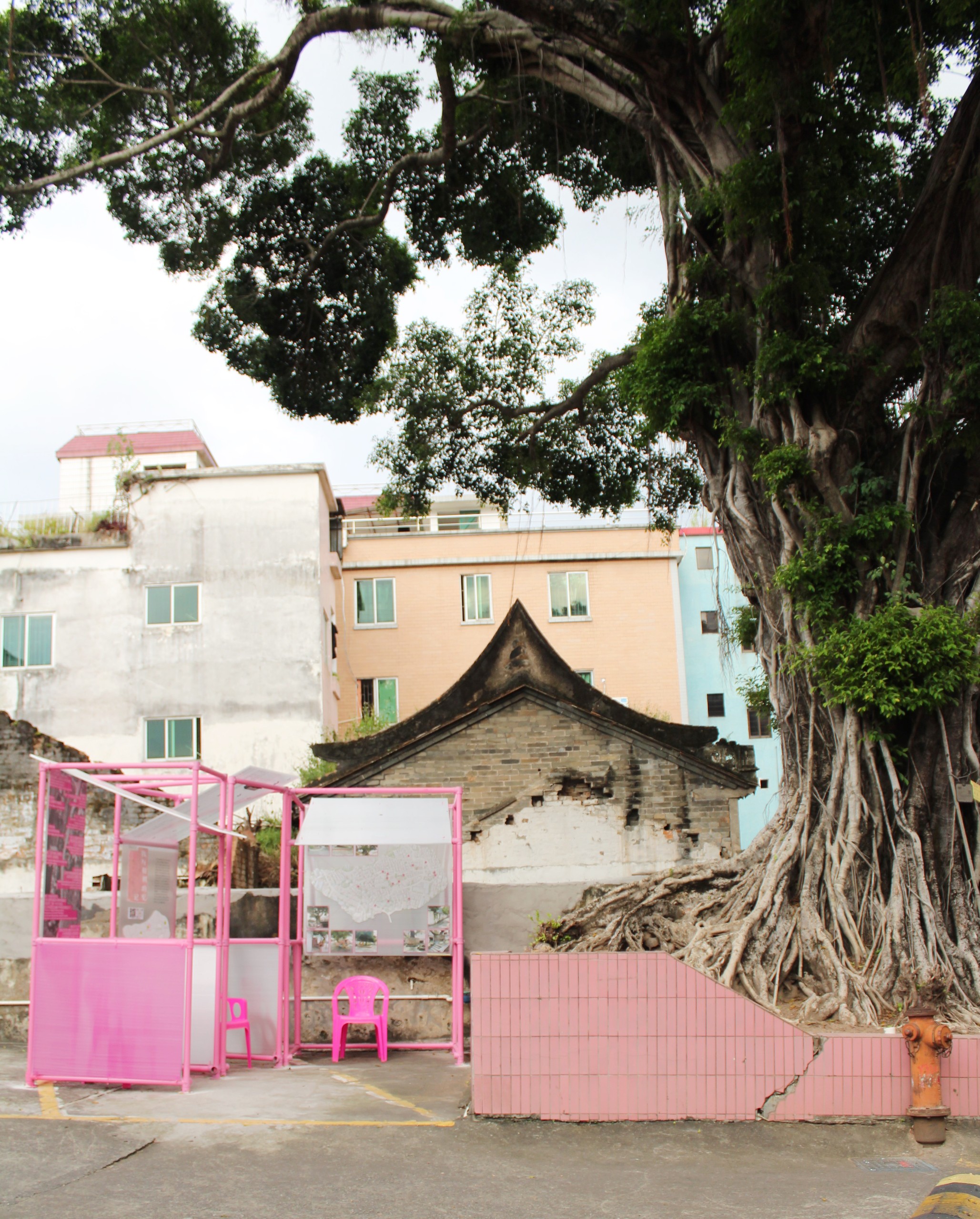 Haogang Ji: distant view of the pink pavilions beside the old banyan tree