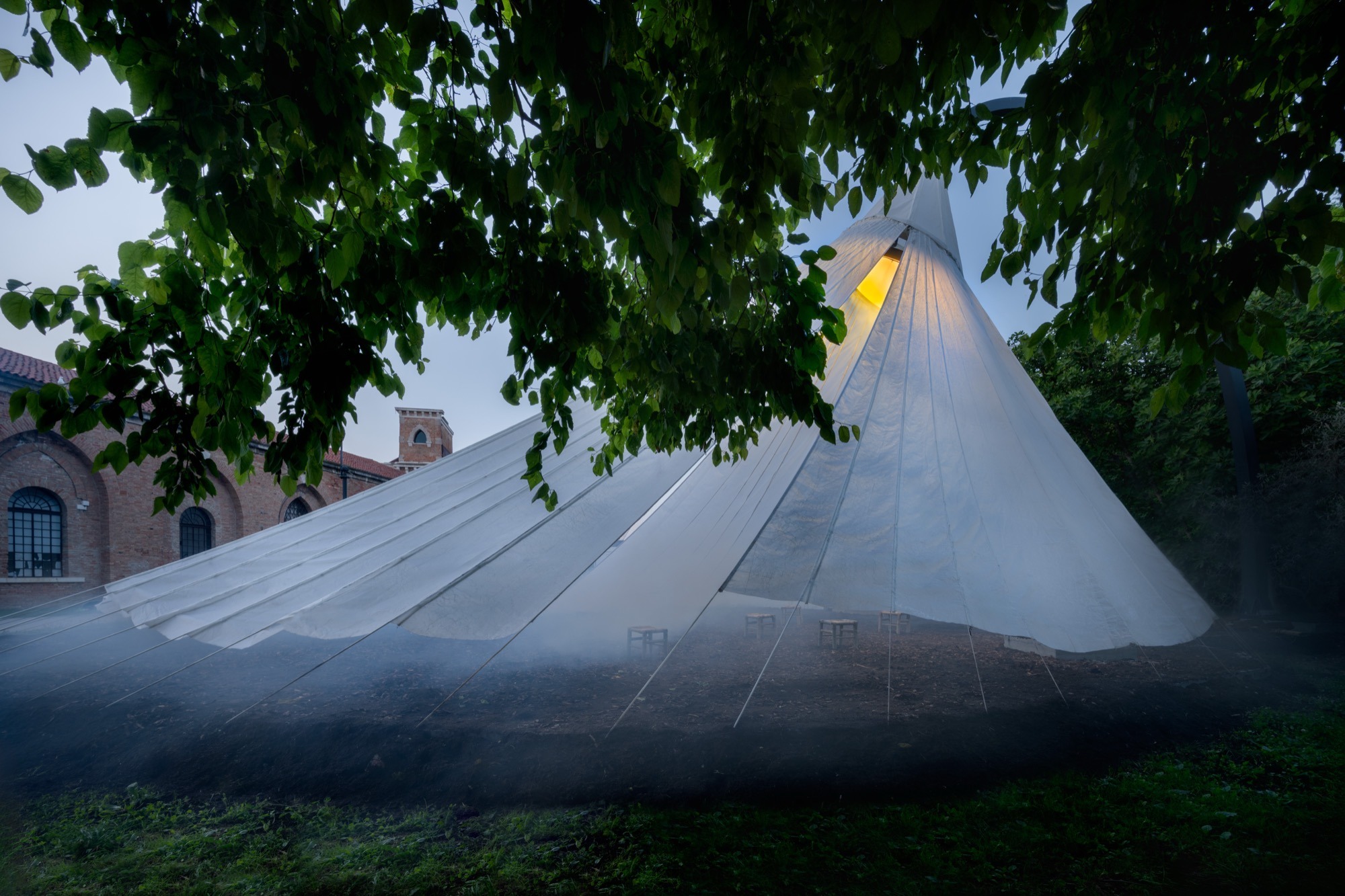 Chinese Paper Umbrella: the canopy among the trees of the garden