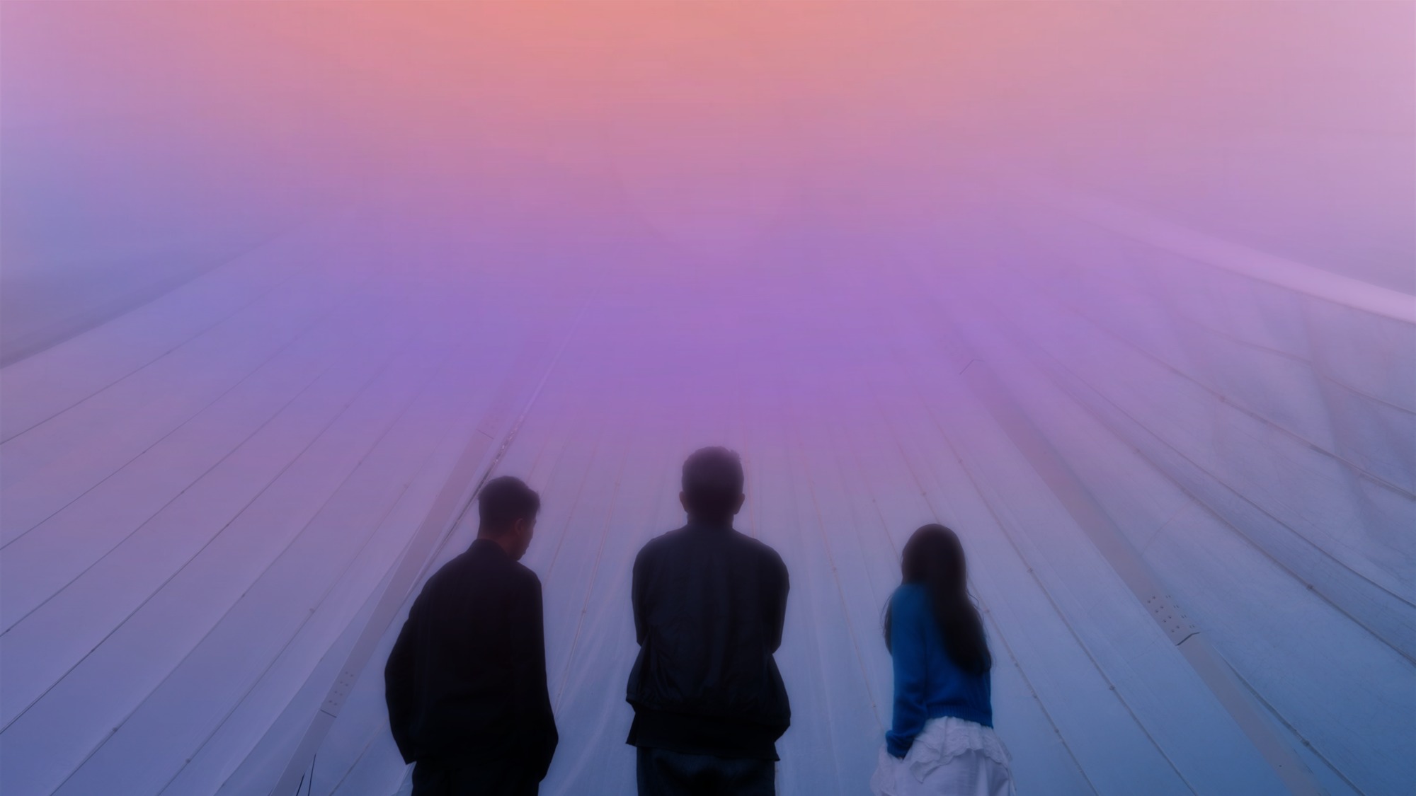 Visitors beneath the canopy at dusk