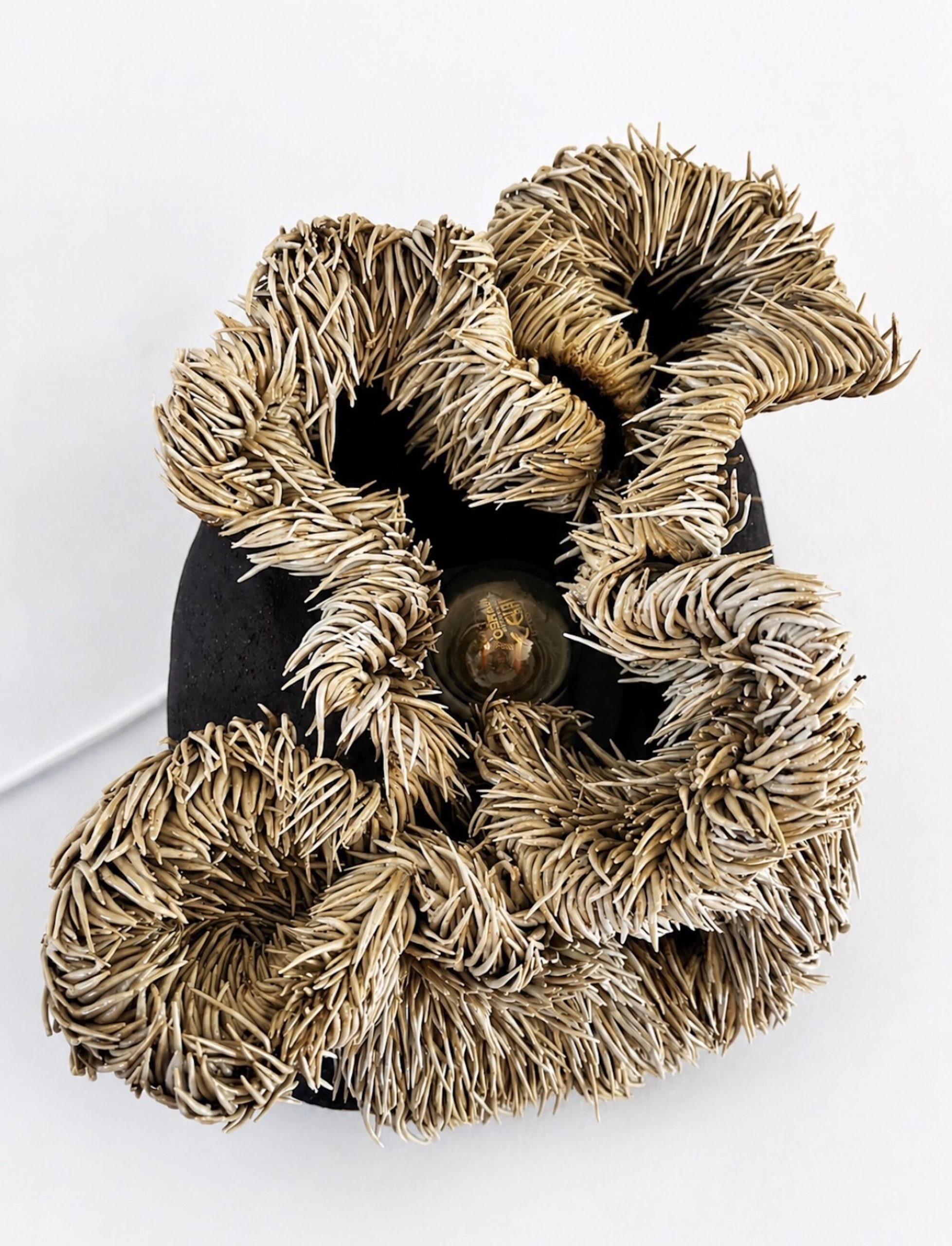 Ceramic work by Manon Benoit