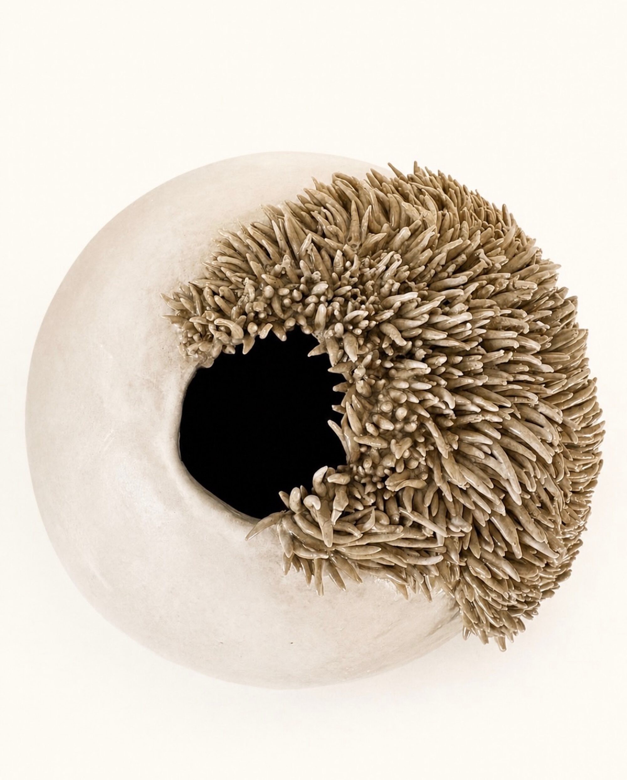 PØLAIRE ceramic collection