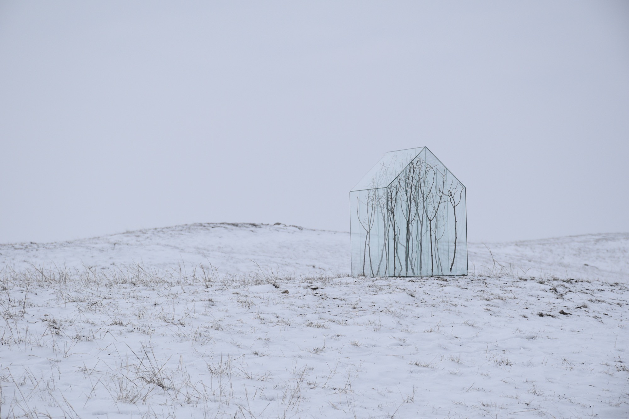 Sándor Körei’s It Will Never Snow Again, a glass house-like structure divided into cells holding tree branches