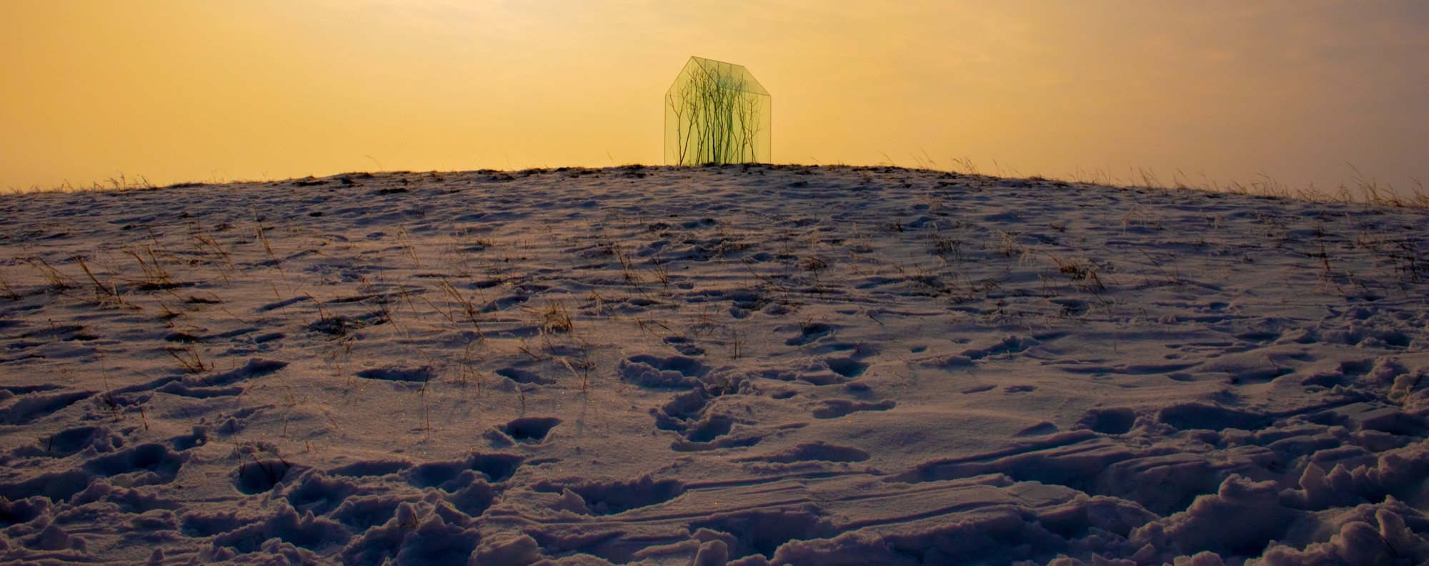 Sándor Körei’s It Will Never Snow Again, a glass house-like structure divided into cells holding tree branches